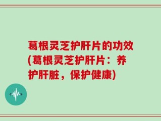 葛根灵芝护肝片的功效(葛根灵芝护肝片：养护肝脏，保护健康)