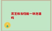 灵芝和当归能一块泡酒吗