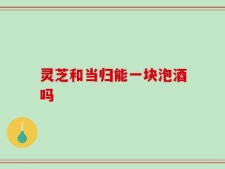 灵芝和当归能一块泡酒吗
