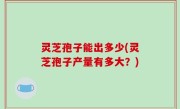 灵芝孢子能出多少(灵芝孢子产量有多大？)