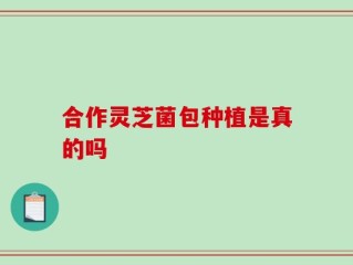 合作灵芝菌包种植是真的吗
