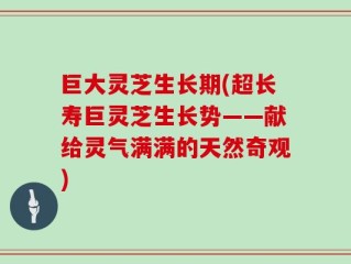 巨大灵芝生长期(超长寿巨灵芝生长势——献给灵气满满的天然奇观)
