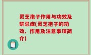 灵芝孢子作用与功效及禁忌症(灵芝孢子的功效、作用及注意事项简介)