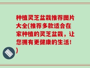 种植灵芝盆栽推荐图片大全(推荐多款适合在家种植的灵芝盆栽，让您拥有更健康的生活！)