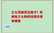 三七天麻灵芝孢子？天麻和三七粉的功效作用有哪些
