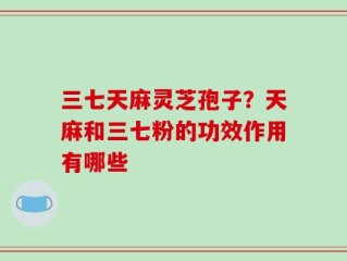 三七天麻灵芝孢子？天麻和三七粉的功效作用有哪些