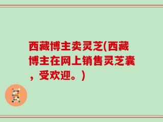 西藏博主卖灵芝(西藏博主在网上销售灵芝囊，受欢迎。)