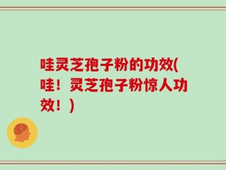 哇灵芝孢子粉的功效(哇！灵芝孢子粉惊人功效！)