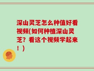 深山灵芝怎么种值好看视频(如何种植深山灵芝？看这个视频学起来！)