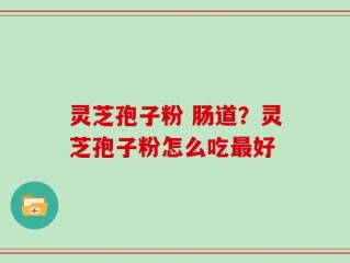 灵芝孢子粉 肠道？灵芝孢子粉怎么吃最好