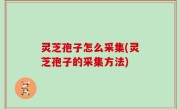 灵芝孢子怎么采集(灵芝孢子的采集方法)
