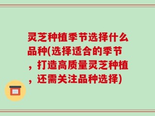 灵芝种植季节选择什么品种(选择适合的季节，打造高质量灵芝种植，还需关注品种选择)