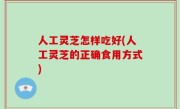 人工灵芝怎样吃好(人工灵芝的正确食用方式)