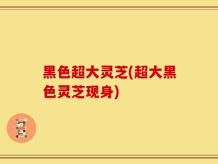 黑色超大灵芝(超大黑色灵芝现身)