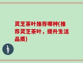 灵芝茶叶推荐哪种(推荐灵芝茶叶，提升生活品质)