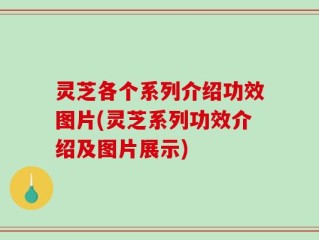灵芝各个系列介绍功效图片(灵芝系列功效介绍及图片展示)