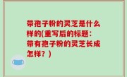 带孢子粉的灵芝是什么样的(重写后的标题：带有孢子粉的灵芝长成怎样？)
