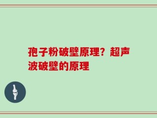 孢子粉破壁原理？超声波破壁的原理