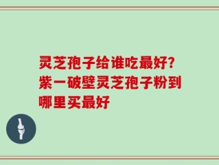 灵芝孢子给谁吃最好？紫一破壁灵芝孢子粉到哪里买最好