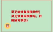 灵芝能修复周围神经(灵芝修复周围神经，舒缓疲劳损伤)