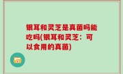 银耳和灵芝是真菌吗能吃吗(银耳和灵芝：可以食用的真菌)