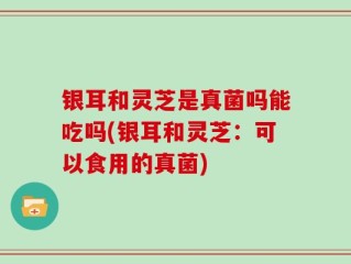 银耳和灵芝是真菌吗能吃吗(银耳和灵芝：可以食用的真菌)