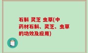 石斛 灵芝 虫草(中药材石斛、灵芝、虫草的功效及应用)