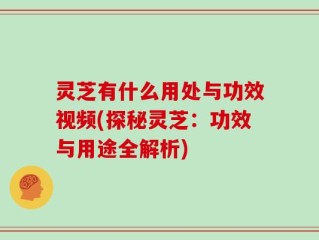 灵芝有什么用处与功效视频(探秘灵芝：功效与用途全解析)