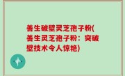 善生破壁灵芝孢子粉(善生灵芝孢子粉：突破壁技术令人惊艳)