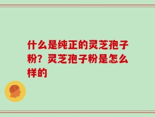 什么是纯正的灵芝孢子粉？灵芝孢子粉是怎么样的