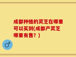 成都种植的灵芝在哪里可以买到(成都产灵芝哪里有售？)