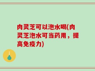 肉灵芝可以泡水喝(肉灵芝泡水可当药用，提高免疫力)
