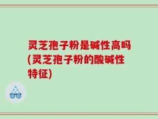 灵芝孢子粉是碱性高吗(灵芝孢子粉的酸碱性特征)