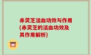 赤灵芝活血功效与作用(赤灵芝的活血功效及其作用解析)