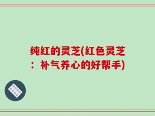 纯红的灵芝(红色灵芝：补气养心的好帮手)