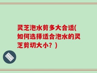 灵芝泡水剪多大合适(如何选择适合泡水的灵芝剪切大小？)