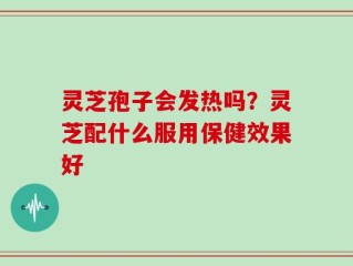 灵芝孢子会发热吗？灵芝配什么服用保健效果好