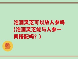 泡酒灵芝可以放人参吗(泡酒灵芝能与人参一同搭配吗？)