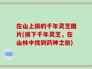 在山上摘的千年灵芝图片(摘下千年灵芝，在山林中找到药神之旅)