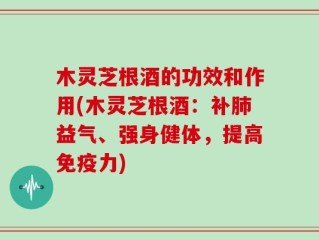 木灵芝根酒的功效和作用(木灵芝根酒：补肺益气、强身健体，提高免疫力)