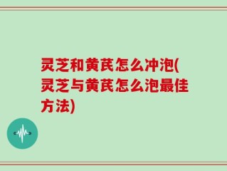 灵芝和黄芪怎么冲泡(灵芝与黄芪怎么泡最佳方法)