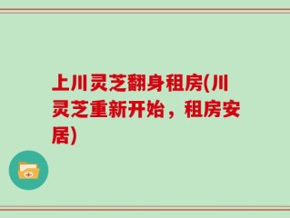 上川灵芝翻身租房(川灵芝重新开始，租房安居)