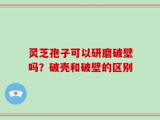 灵芝孢子可以研磨破壁吗？破壳和破壁的区别