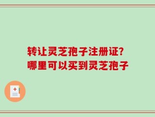 转让灵芝孢子注册证？哪里可以买到灵芝孢子
