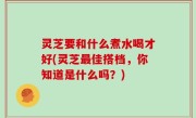 灵芝要和什么煮水喝才好(灵芝最佳搭档，你知道是什么吗？)