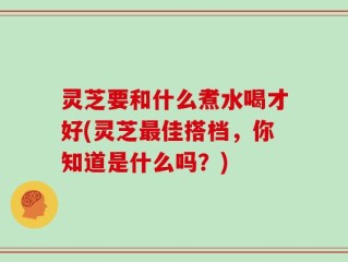 灵芝要和什么煮水喝才好(灵芝最佳搭档，你知道是什么吗？)