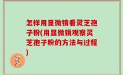 怎样用显微镜看灵芝孢子粉(用显微镜观察灵芝孢子粉的方法与过程)