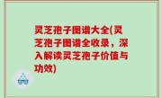 灵芝孢子图谱大全(灵芝孢子图谱全收录，深入解读灵芝孢子价值与功效)