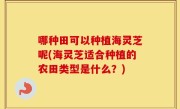 哪种田可以种植海灵芝呢(海灵芝适合种植的农田类型是什么？)