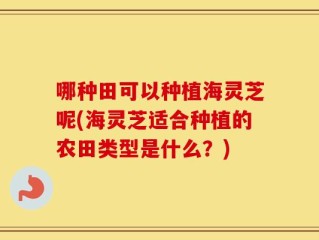 哪种田可以种植海灵芝呢(海灵芝适合种植的农田类型是什么？)